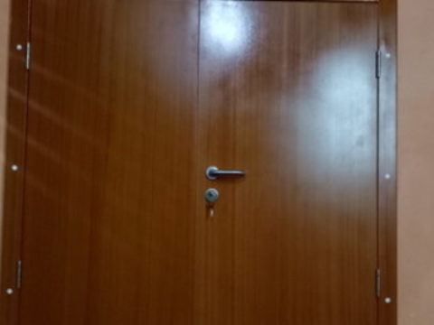 Fire Rated Steel Door With Wooden Finish